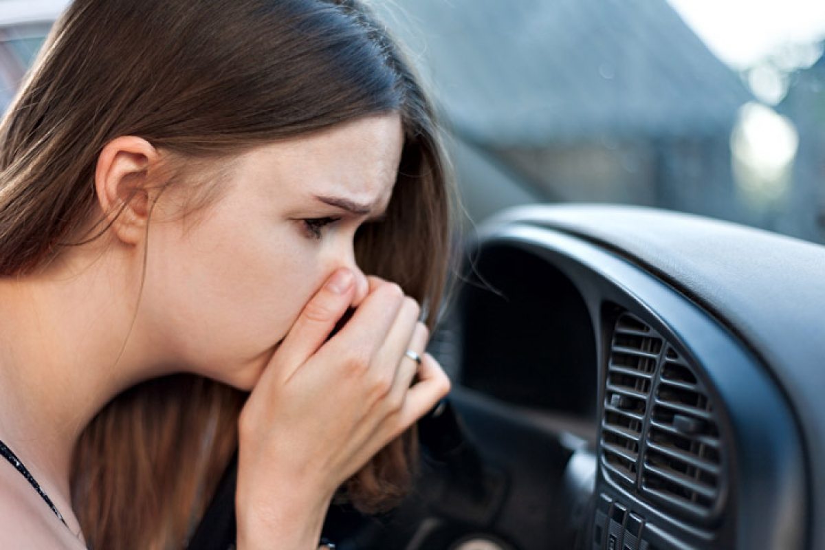 Como Quitar El Mal Olor De Un Auto Mitsubishi Motors